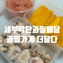 더달다 이미지