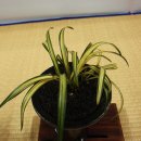 강서체육공원 이미지