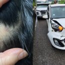 피트니스 진부 이미지