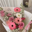 월플레르