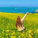 이루는 여행사 이미지