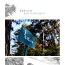 호련 | 공간루 출사 후기 - 호련 Cafe&Gallery 방문과 가을사진여행