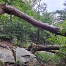 동산계곡 주차장 이미지