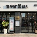 열두달꽃돼지 이미지