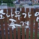 소나무풍경펜션 이미지