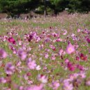 전북대 익산캠퍼스 이미지