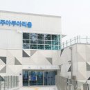 충주수족관 네이버블로그