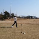 라운딩 이미지