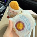 해남운수(주)노동조합 | 10월 끝‼️ 11월 시작‼️