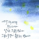 캘리그라피 순간