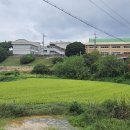 팔봉초등학교 이미지