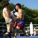 태성체육관 이미지