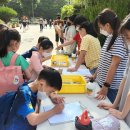 용인신릉초등학교 이미지