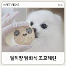 딜리얌 | 기호성 좋은 강아지 수제간식 딜리얌 꼬꼬테린 닭화식 급여 후기