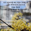 시편108편 이미지