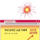 이커머스 플랫폼 10곳 중 4곳 ‘완전자본잠식’ 이미지