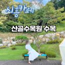 산골나들이 | 시흥 대형카페 &lt;산골수목원&gt; 나들이 갔다오기 좋은곳 내돈내산 솔직후기