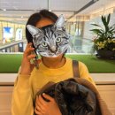 한국어로 읽고 싶어 | 겨울 삿포로 11월 4박5일 여행 ep.10 - 삿포로 맥주 박물관 유료 시음 후기, 무료 관람, 휴무일, 굿즈