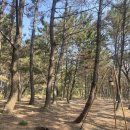 고남슈퍼 이미지