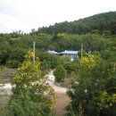 청산농장 이미지