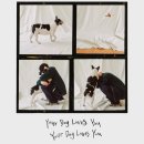 Dog&dog 이미지