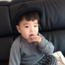 덕봉주르 이미지