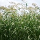 옥동농장 이미지