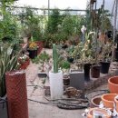 다향화원 이미지