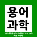 생명의 그물 1 이미지