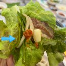 동강한오리숯불구이