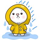 심가네칼국수본점 이미지