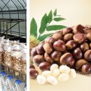 구룡농업협동조합 이미지