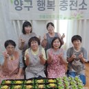 대신종합화장품 이미지