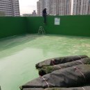 마리보나어린이집 이미지