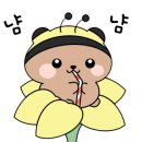 예글 이미지