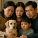 동물보육원 용인지부 이미지