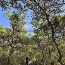 아라메길 관광안내소 이미지