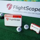 미주타운 이미지