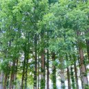 익산황등도서관 | [익산가볼만한곳/아가페정원] 예약방법 및 주말 방문후기 :) 31개월아이와 다녀왔어요