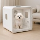 드라이37 | 디클펫 펫드라이룸 러브에어 플러스 37% 할인, 자동문열림으로 집에서 편리한 반려견 건조하기