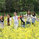 천호농장 이미지