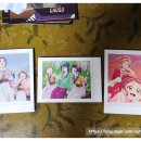 단디단디 이미지