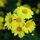 기억의 순간 이미지