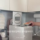 투윤디자인 | 여름 필수템 다룸 제로컬렉션 음식물처리기 솔직 후기