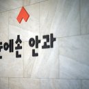 눈에손안과