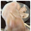 서초교대 네이버블로그