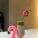 31 이미지