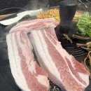 금정솥뚜껑삼겹살 | [금정역맛집] 솥뚜껑 위에 미나리, 고사리, 김치 폭탄! '737솥뚜껑삼겹살' (ft. 금정AK플라자 맛집)