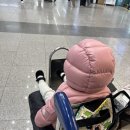 부영카 | 18개월 아기랑 제주도 1일차(청주공항,제주공항렌트카,스타벅스금악dt,부영호텔,숙성도)