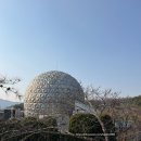 애니멀 패밀리 | 과천 서울대공원 놀이동산 서울랜드 카드할인 2만원대 주말후기 애니멀킹덤공연중